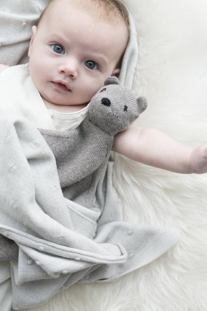 Teddy Tokki | Otter