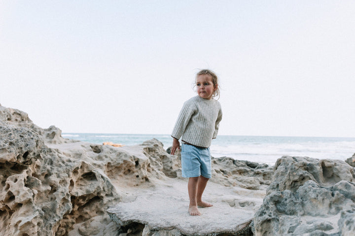 The Denim Short