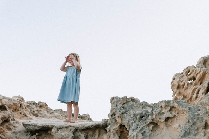 The Denim Dress