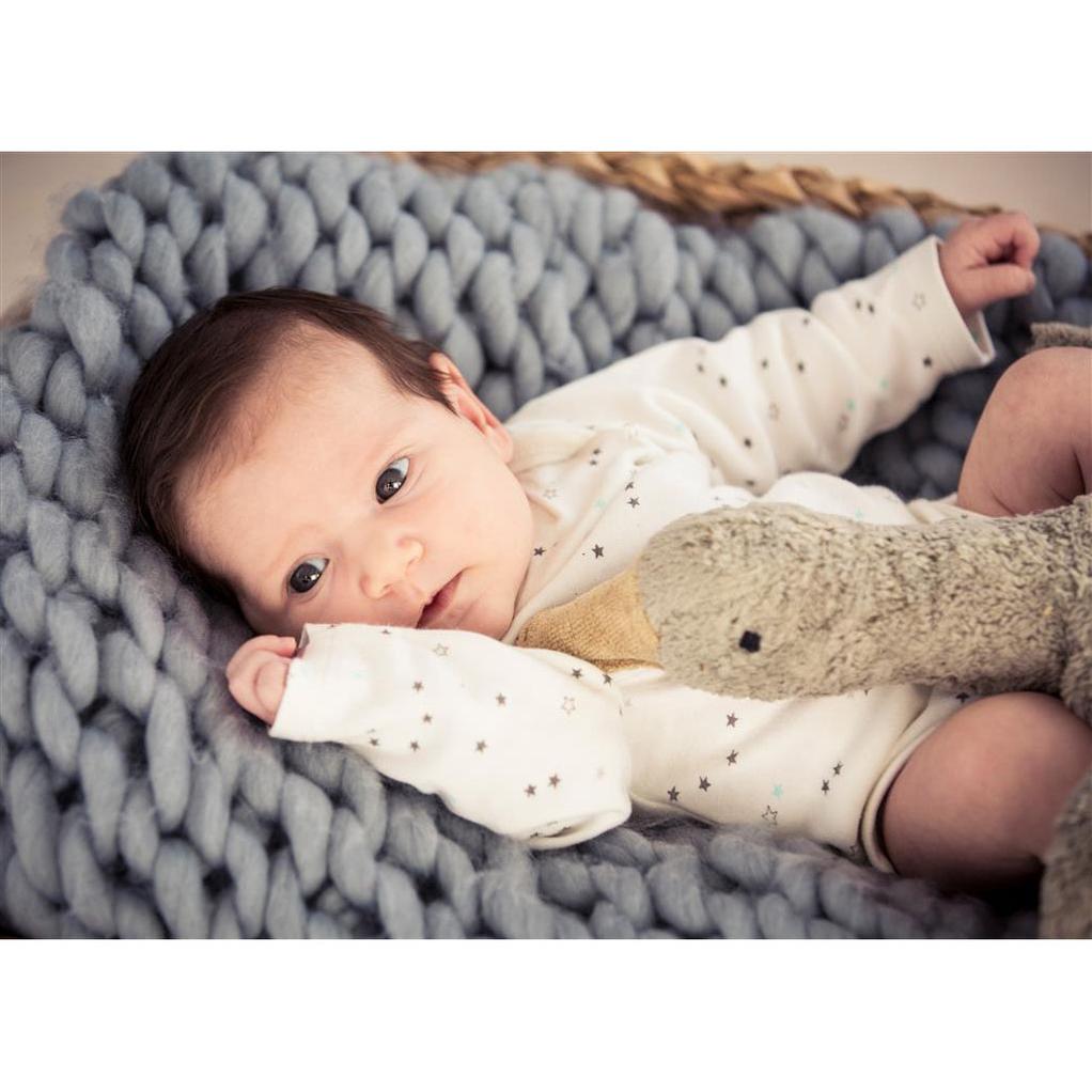 Baby lying on grey knit blanket with head of Grey soft toy plush animal goose