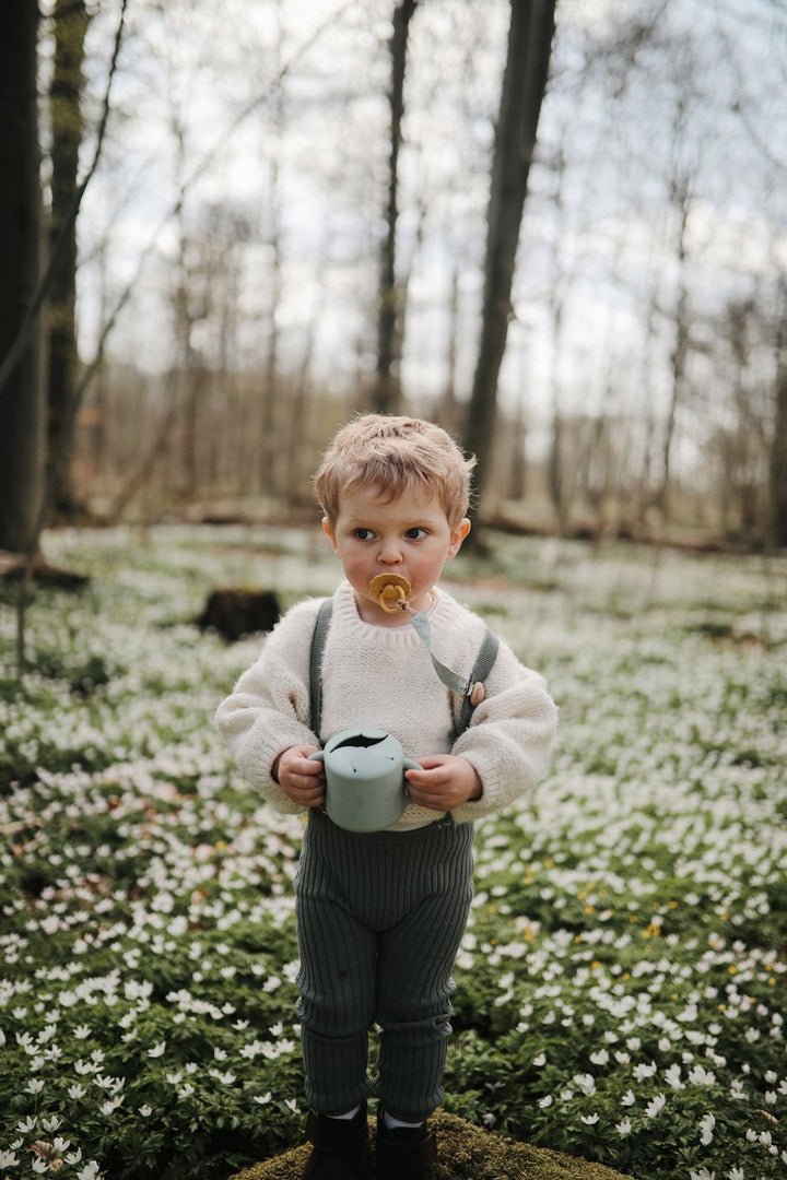 Snack Cup (Dried Thyme)