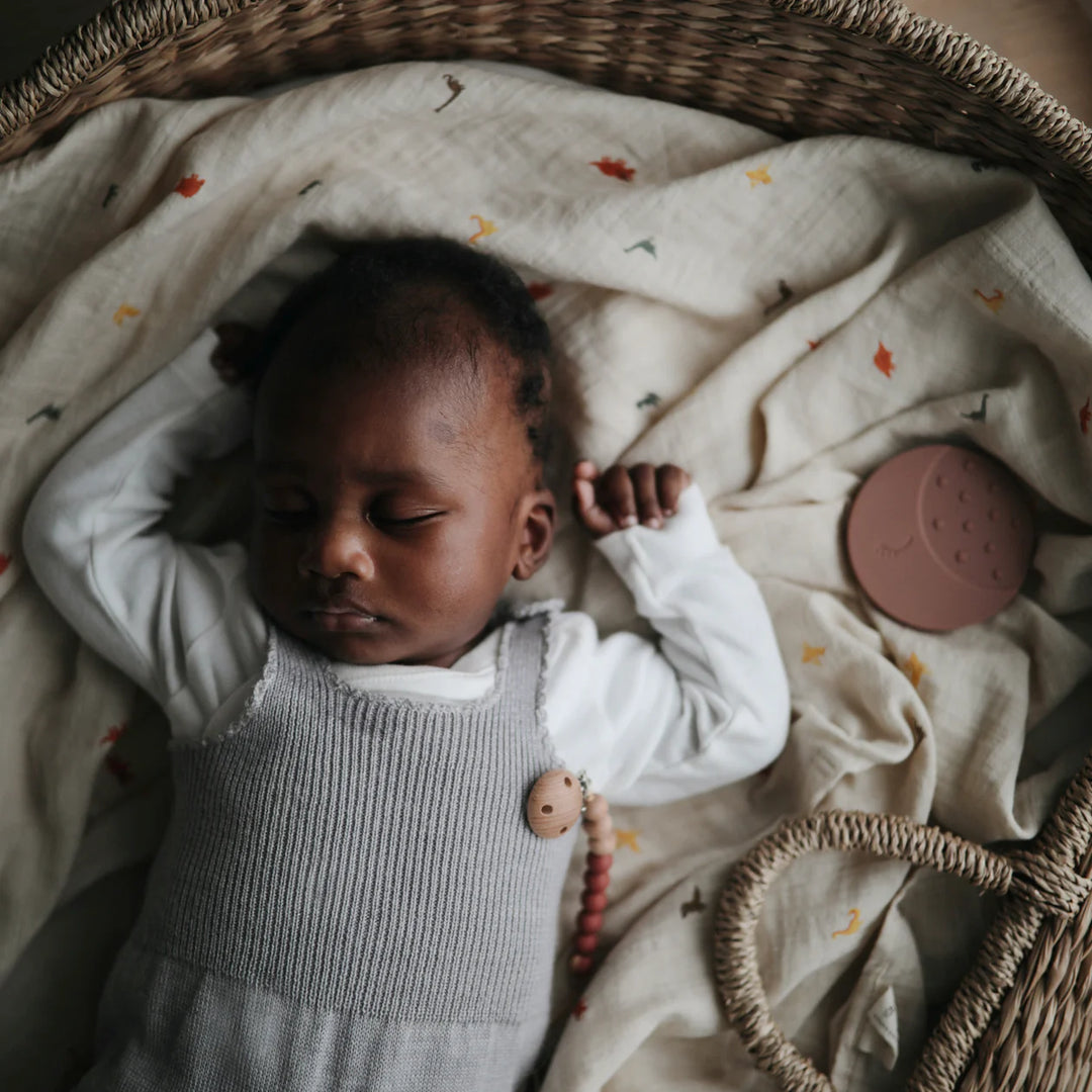 Organic Cotton Muslin Swaddle Blanket | Dinosaurs