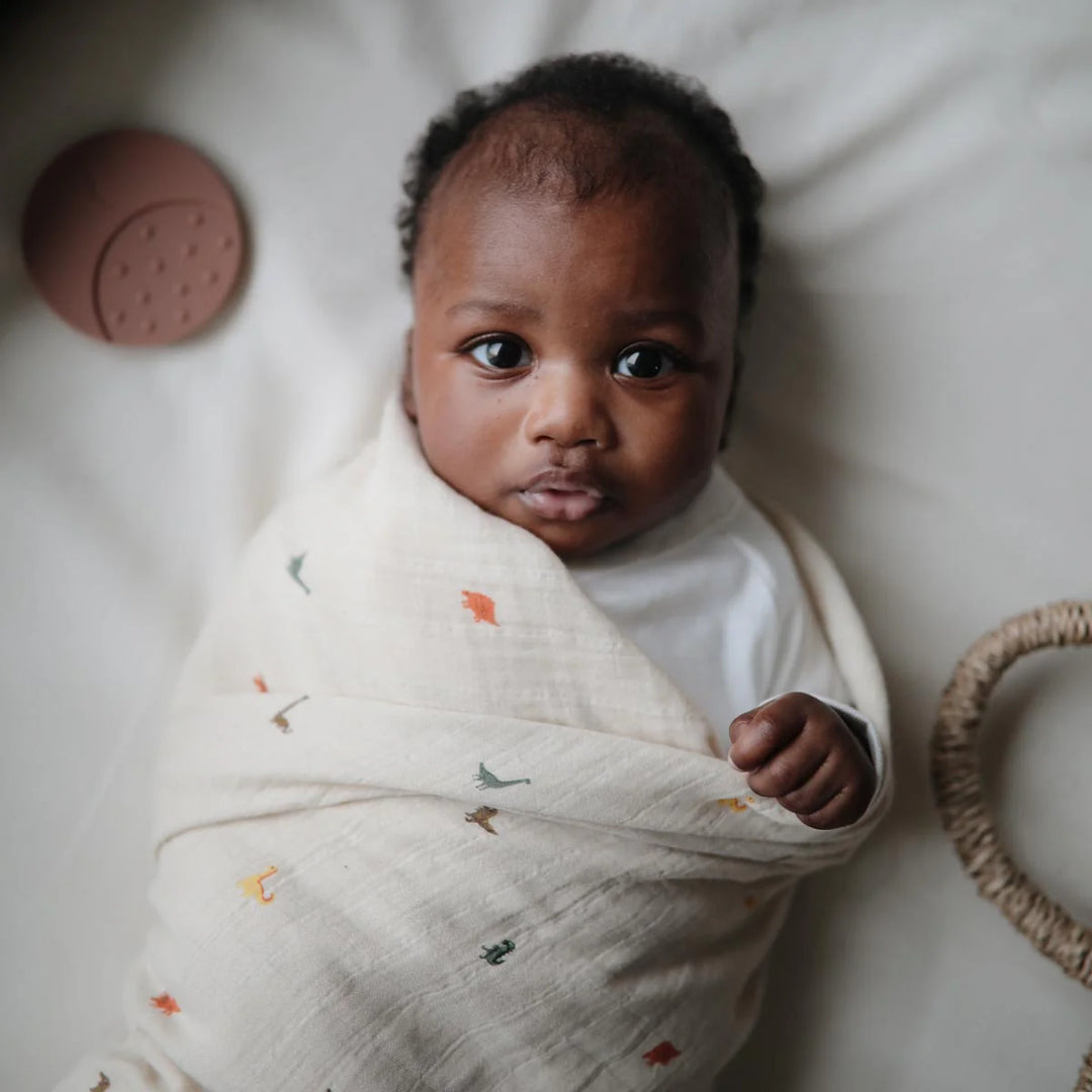 Organic Cotton Muslin Swaddle Blanket | Dinosaurs