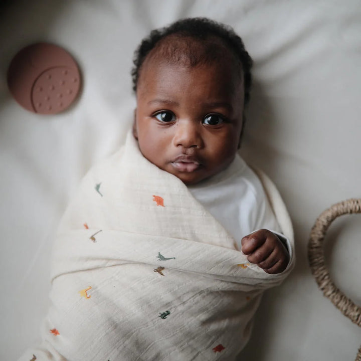 Organic Cotton Muslin Swaddle Blanket | Dinosaurs
