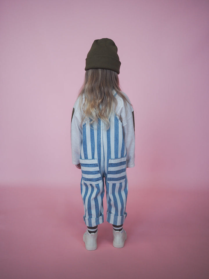 Denim Stripe Overalls