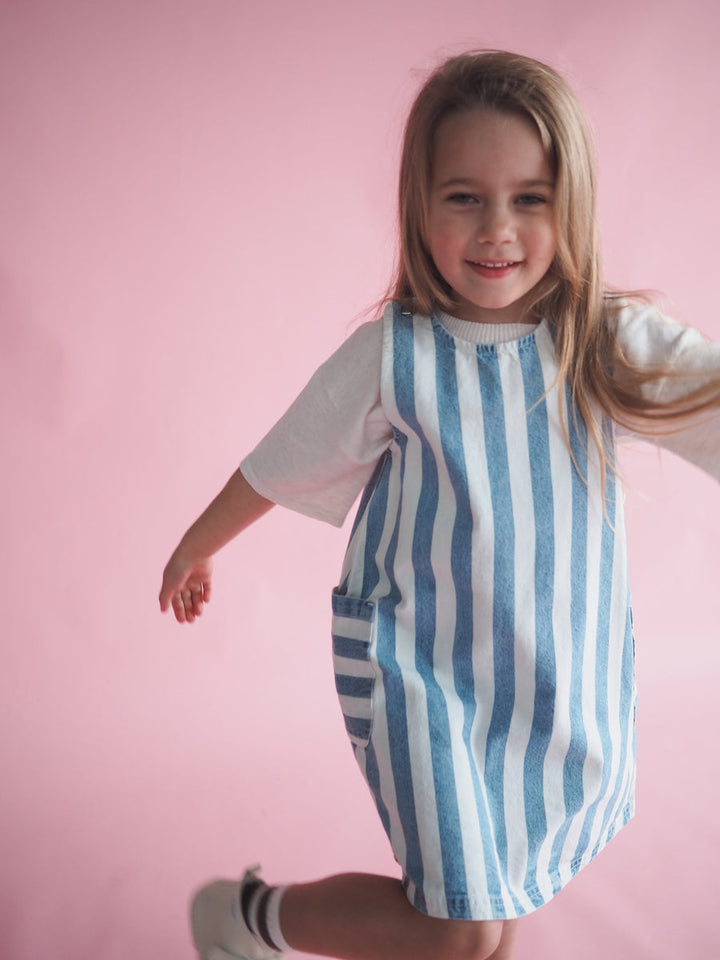 Denim Stripe Dress