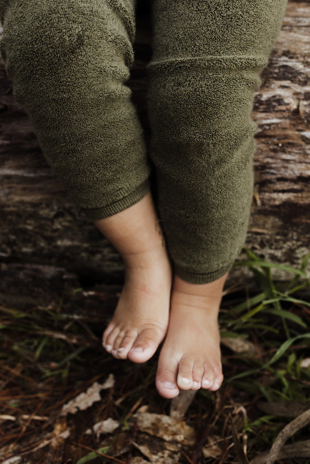 Teddy Warmy Footless Tights (Olive)