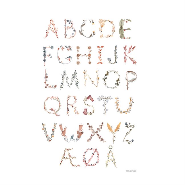 Alphabet colourful poster, letters
